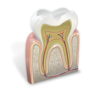 dente